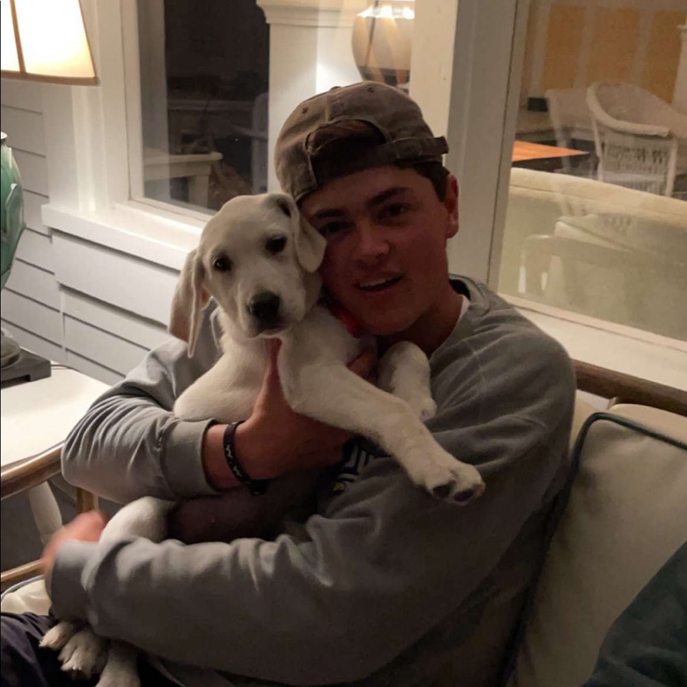 Meet your Posher, Carter